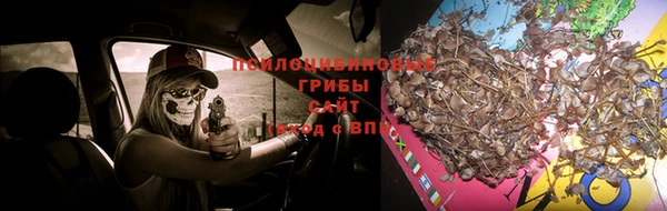 герыч Белокуриха