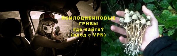 мдпв Балабаново