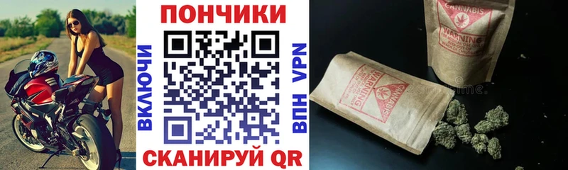 Конопля Amnesia ОМГ ОМГ зеркало Мглин